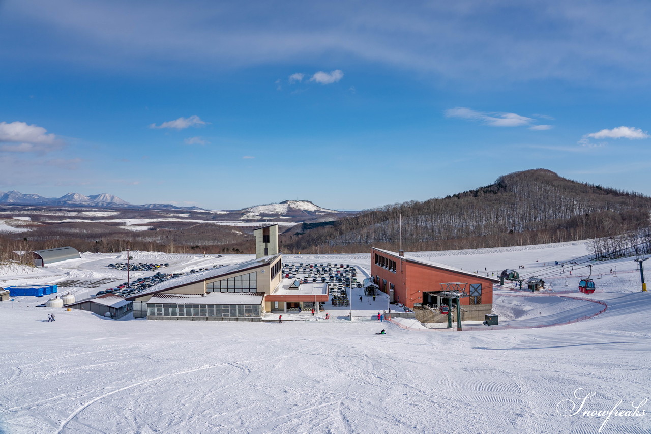 十勝サホロリゾート 快晴の空の下、極上の粉雪クルージングバーンを心ゆくまで味わう１日(*^^*)